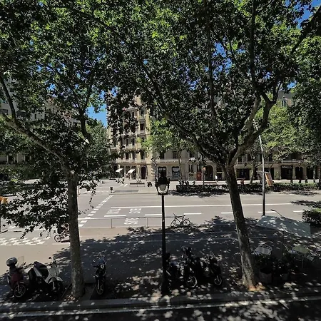 Suites4days Park Ii